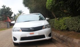 TOYOTA AXIO.